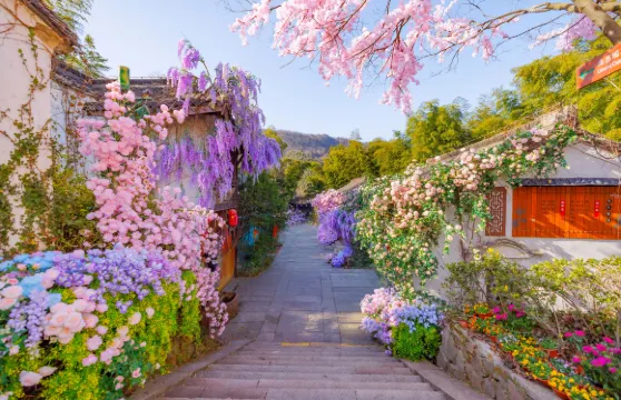 天目湖南山竹海景區門票家庭（1位成人+1位小童）