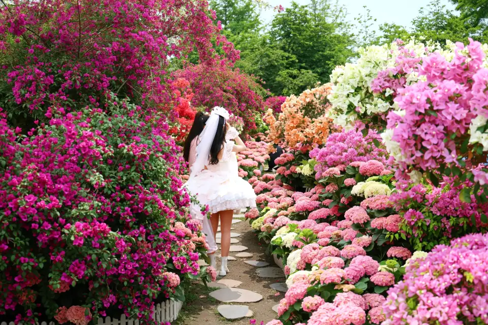 3_Manhua Sea of Flowers