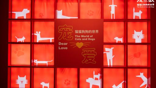 深圳博物館《寵愛—貓貓狗狗的世界》展覽門票優惠票(高考生雙人票) 深圳博物館《寵愛—貓貓狗狗的世界》展覽門票優惠票(高考生雙人票)