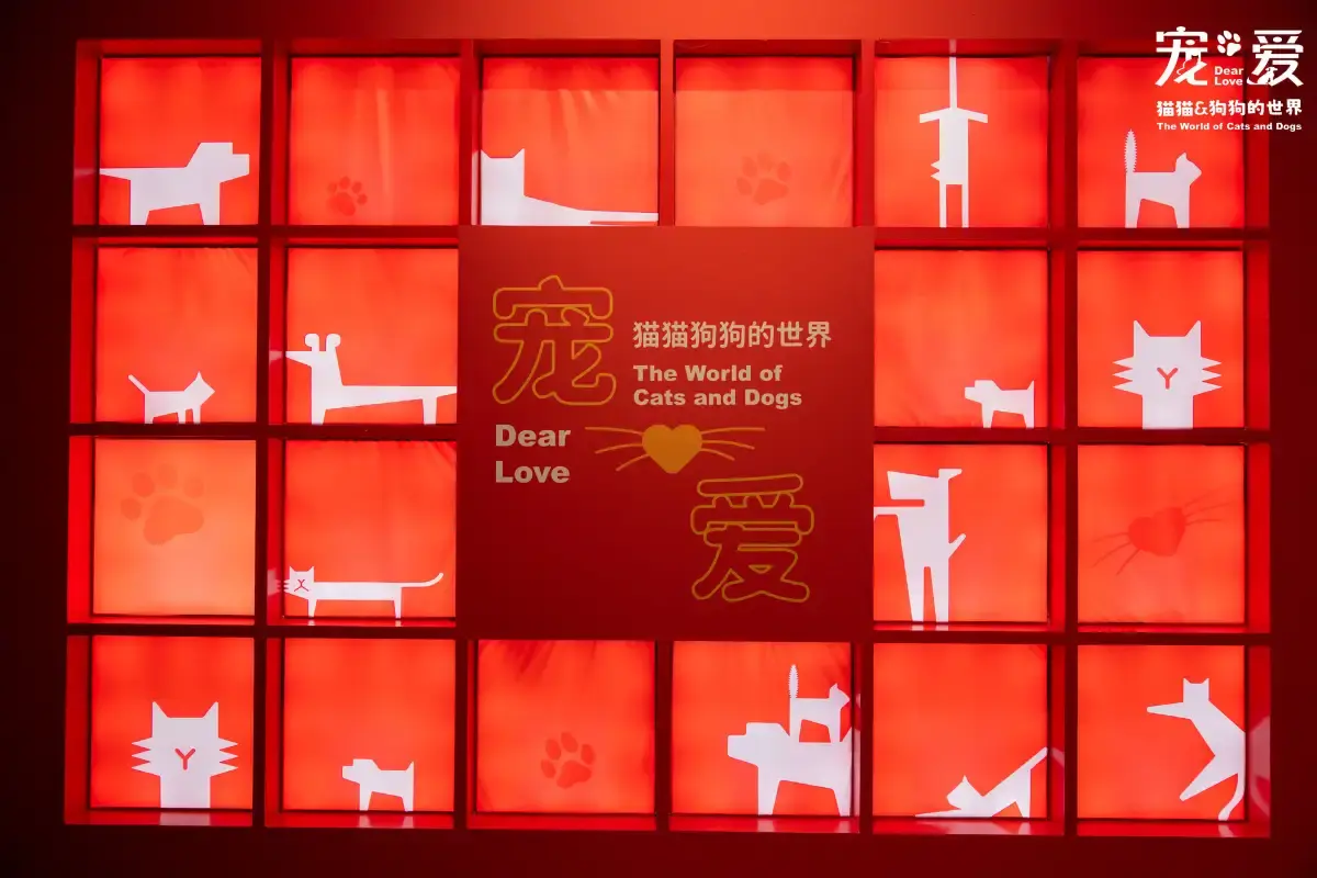 深圳博物館《寵愛—貓貓狗狗的世界》展覽