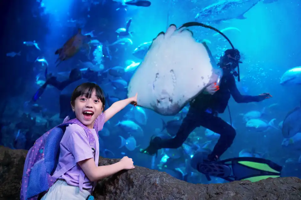 3_Sea World Ancol