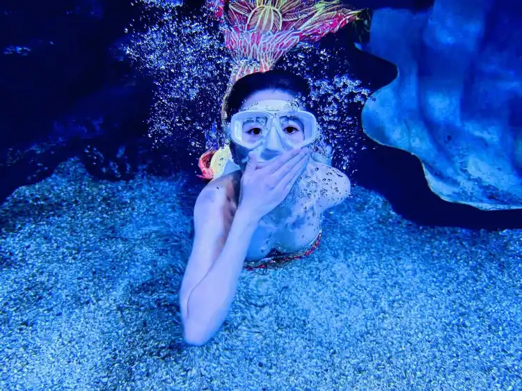 Hotels near Golden Eagle Sea World