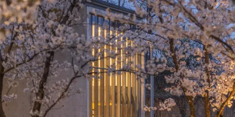 良渚文化藝術中心（大屋頂）