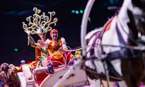 Chimelong International Circus