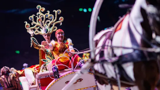 Chimelong International Circus