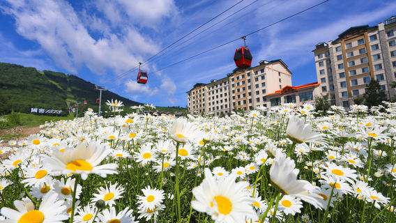 Yabuli Sightseeing Cable Car and World's No. 1 Slide