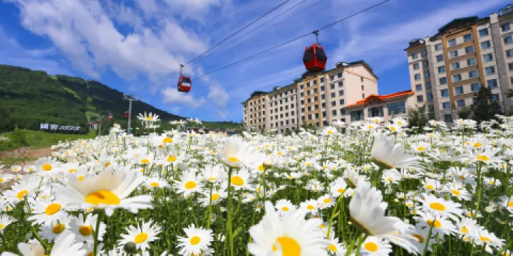 亞布力世界第一滑道