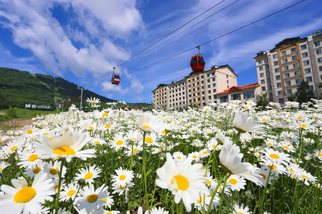 Hotels near Yabuli Sightseeing Cable Car and World's No. 1 Slide