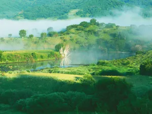 Huamugouguojia Forest Park