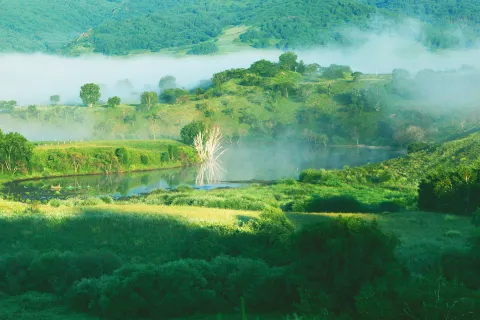 Huamugouguojia Forest Park