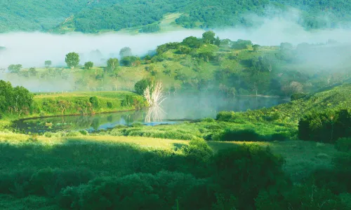 Huamugouguojia Forest Park