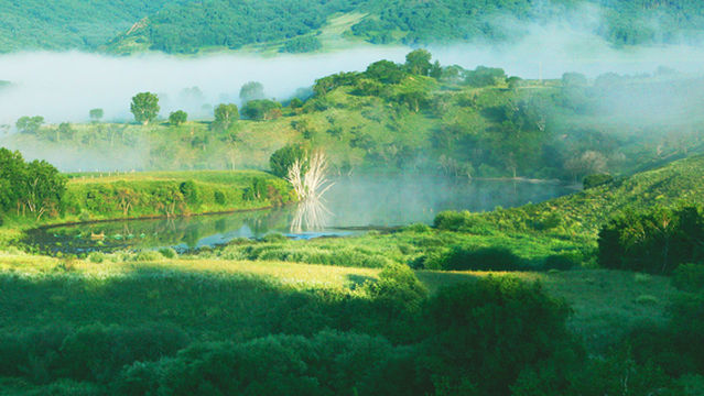 Национальный лесной парк Тунг-Куо