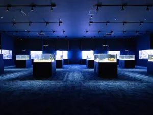 DMM Kariyushi Aquarium