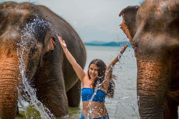 Lily Elephant Camp