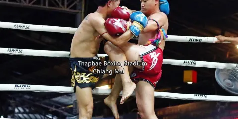 塔佩國際泰拳體育館