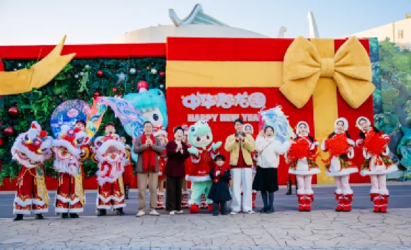 China Dinosaurs Land