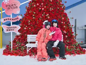 前海冰雪世界