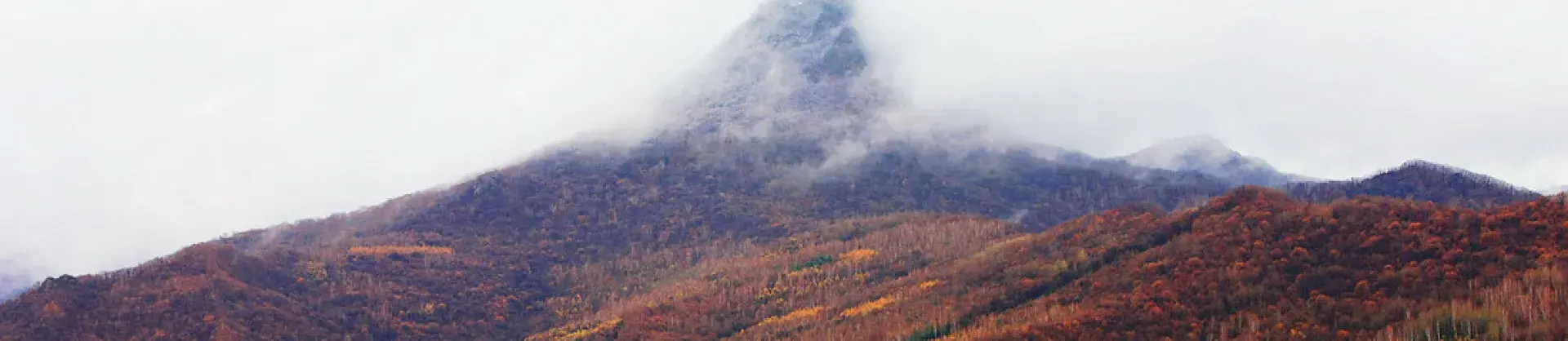Fall Viewing Attractions