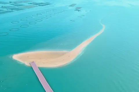 Fishbone Shoal