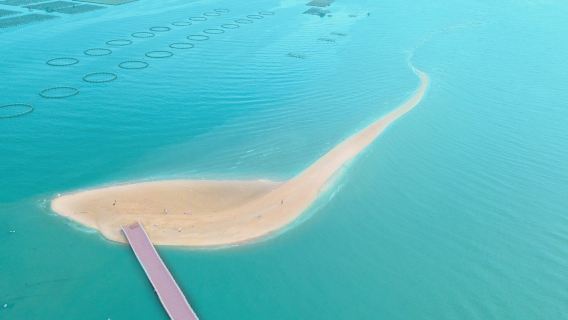 東山島一日遊【包車團】廈門/漳州/潮州/東山接送丨景點可自選