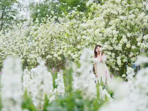 漫花荘園