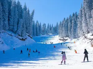 Popular Water Fun Attractions in Tongchuan