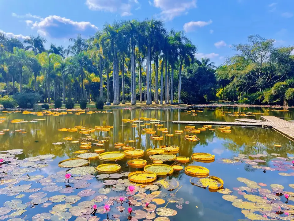 3_Xishuangbanna Tropical Botanical Garden