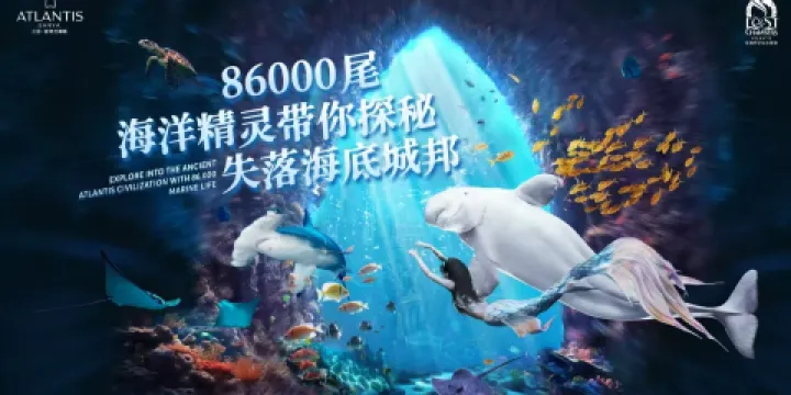 三亚亚特兰蒂斯失落的空间水族馆