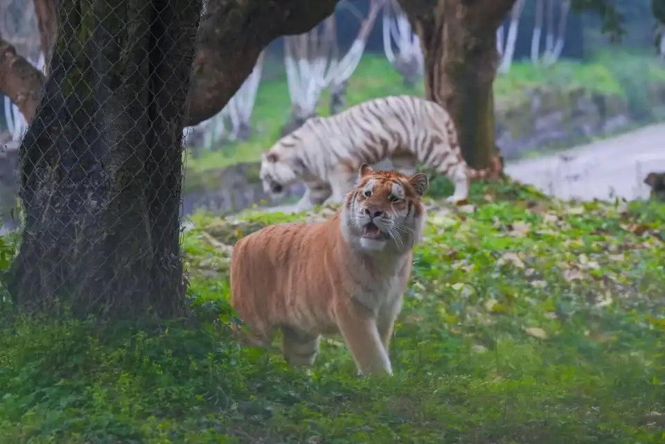 3_Leheledu Animal Theme Park
