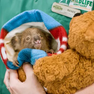 Currumbin Wildlife Sanctuary