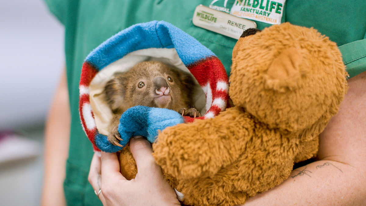 Currumbin Wildlife Sanctuary