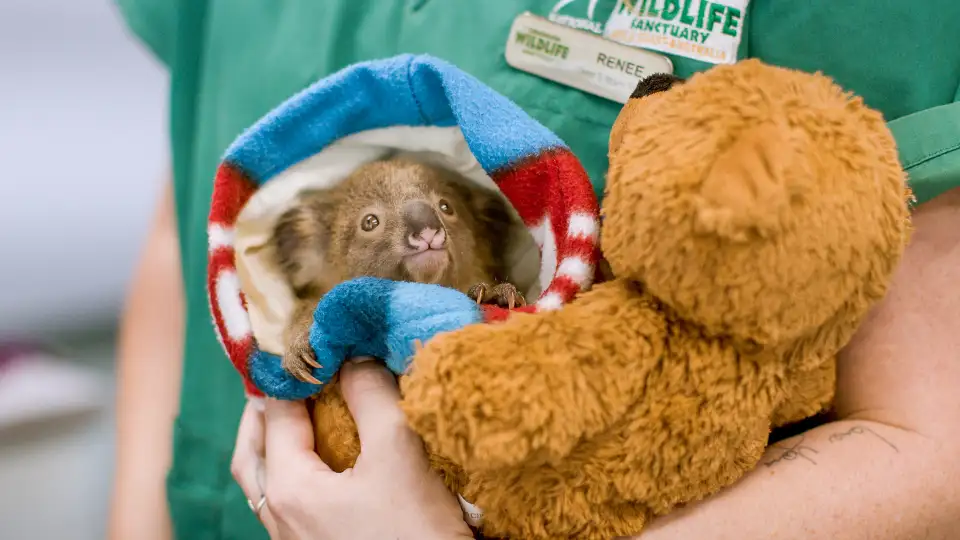 1_Currumbin Wildlife Sanctuary