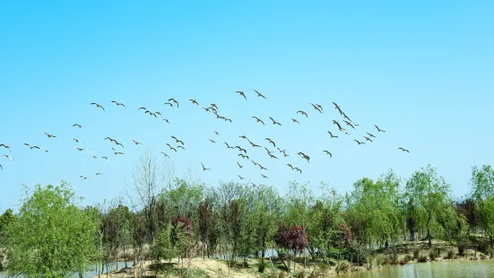 Yangshahu National Wetland Park