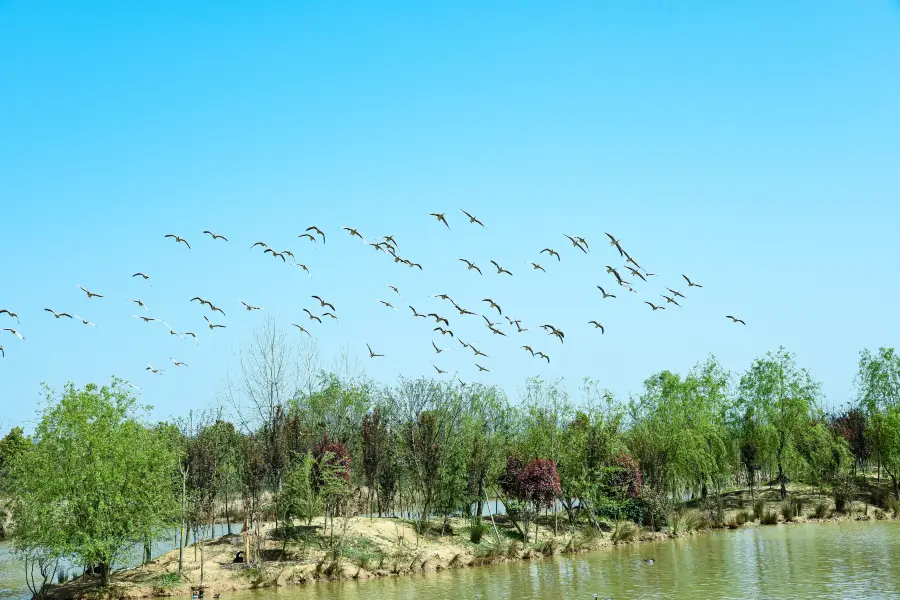 Yangshahu National Wetland Park