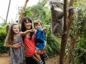 WILD LIFE Sydney Zoo