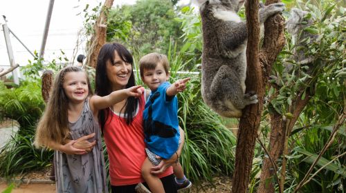 WILD LIFE Sydney Zoo