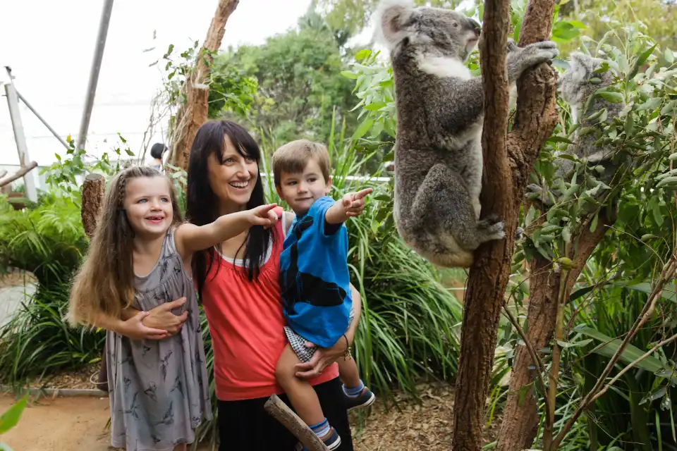 2_WILD LIFE Sydney Zoo