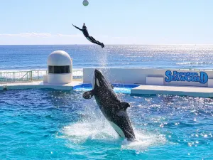Kamogawa Seaworld