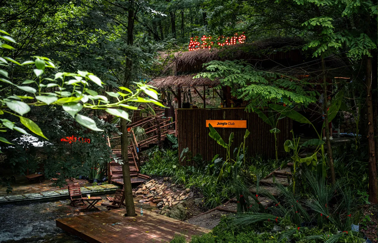 2_茅山森林世界