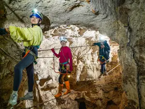 Swallow Cave Adventure Park