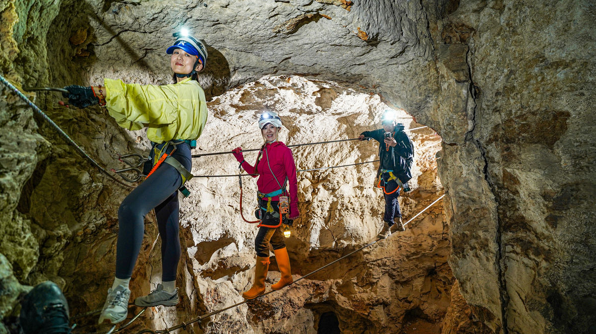 Swallow Cave Adventure Park
