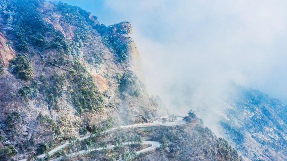麻城龜峰山+五腦山森林公園武漢來回|賞杜鵑花|景點可調G