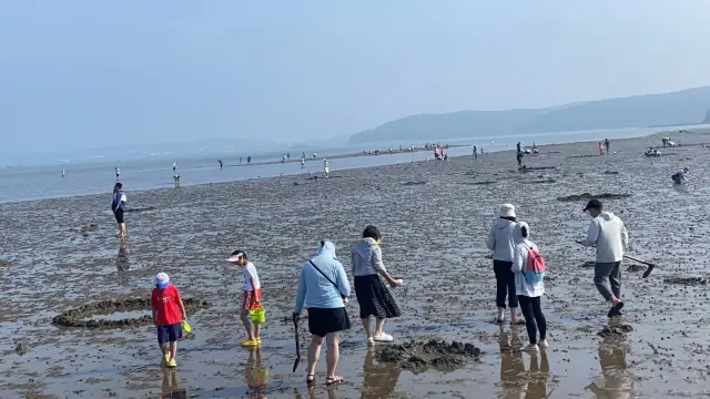 Beachcombing in Dalian