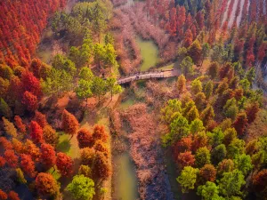 Sihong Hongze Lake Wetland