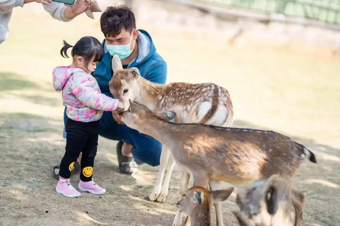 Hotels near Wonderland of Deer