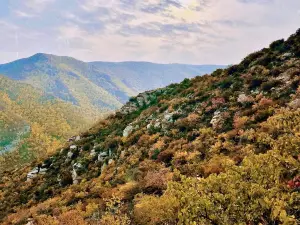 Hadamen National Forest Park
