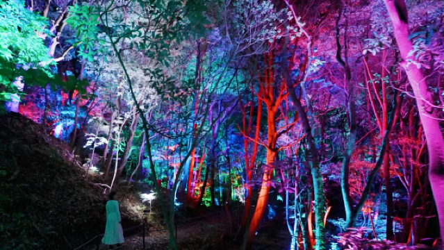 teamLab: Hidden Traces of Rice Terraces Hot Spring - Izura