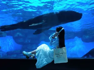 鄭州海昌海洋旅遊度假區