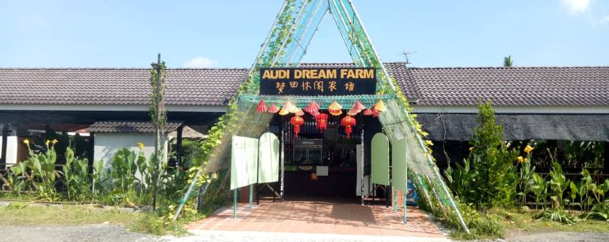 Audi Dream Farm