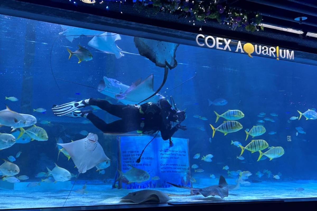COEX Aquarium